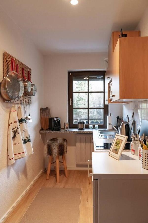 Das Waldseechalet Maerchenhafter Waldseeblick - Moderne Wohnung Mit Infrarotsauna Hasselfelde Zewnętrze zdjęcie