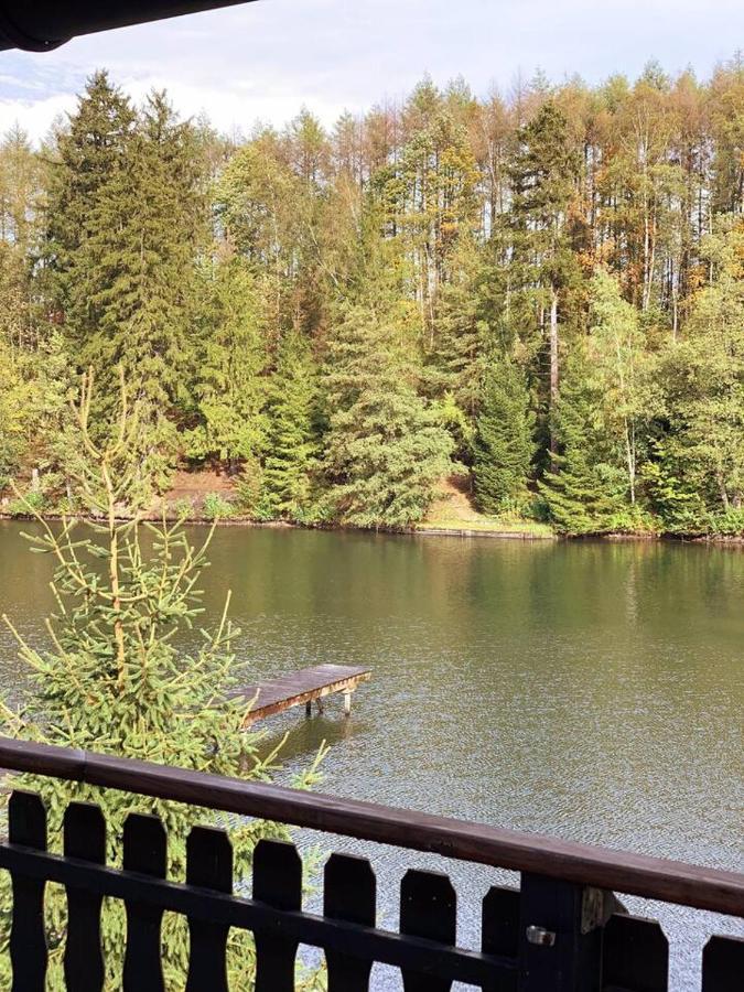 Das Waldseechalet Maerchenhafter Waldseeblick - Moderne Wohnung Mit Infrarotsauna Hasselfelde Zewnętrze zdjęcie