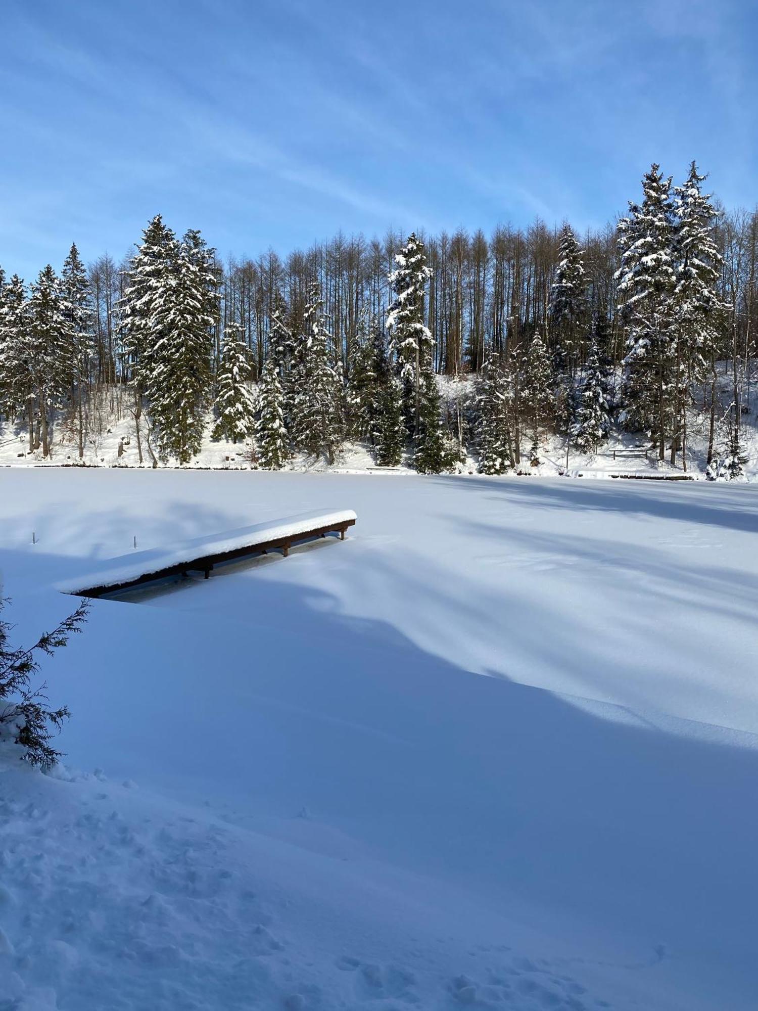 Das Waldseechalet Maerchenhafter Waldseeblick - Moderne Wohnung Mit Infrarotsauna Hasselfelde Zewnętrze zdjęcie