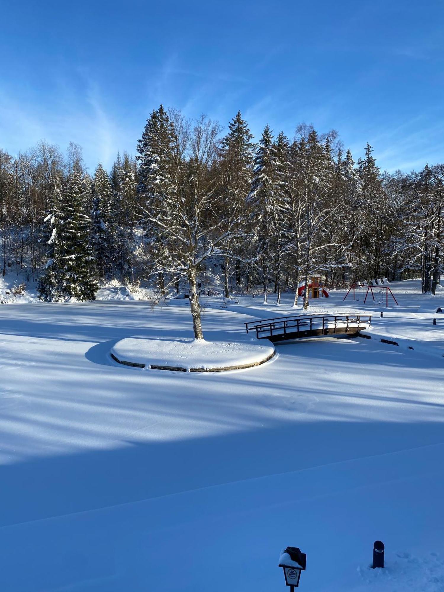Das Waldseechalet Maerchenhafter Waldseeblick - Moderne Wohnung Mit Infrarotsauna Hasselfelde Zewnętrze zdjęcie