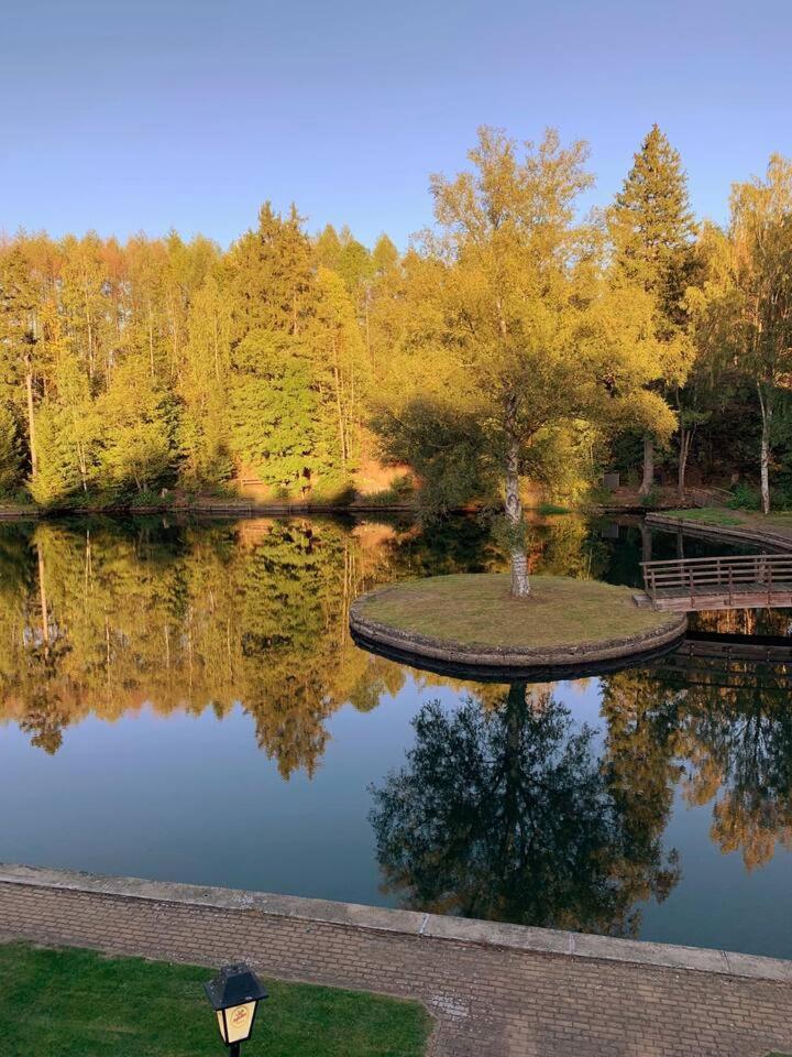 Das Waldseechalet Maerchenhafter Waldseeblick - Moderne Wohnung Mit Infrarotsauna Hasselfelde Zewnętrze zdjęcie