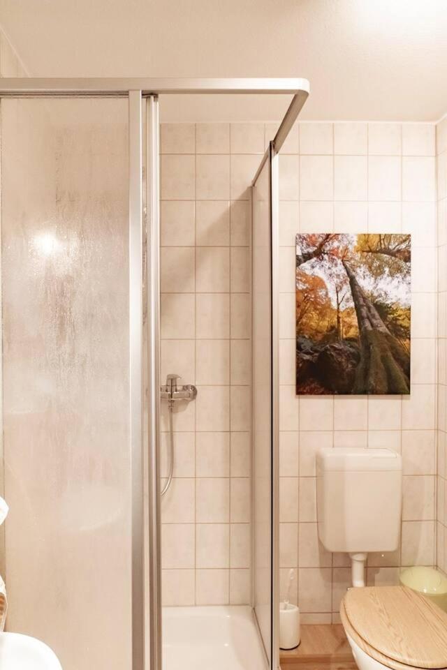 Das Waldseechalet Maerchenhafter Waldseeblick - Moderne Wohnung Mit Infrarotsauna Hasselfelde Zewnętrze zdjęcie